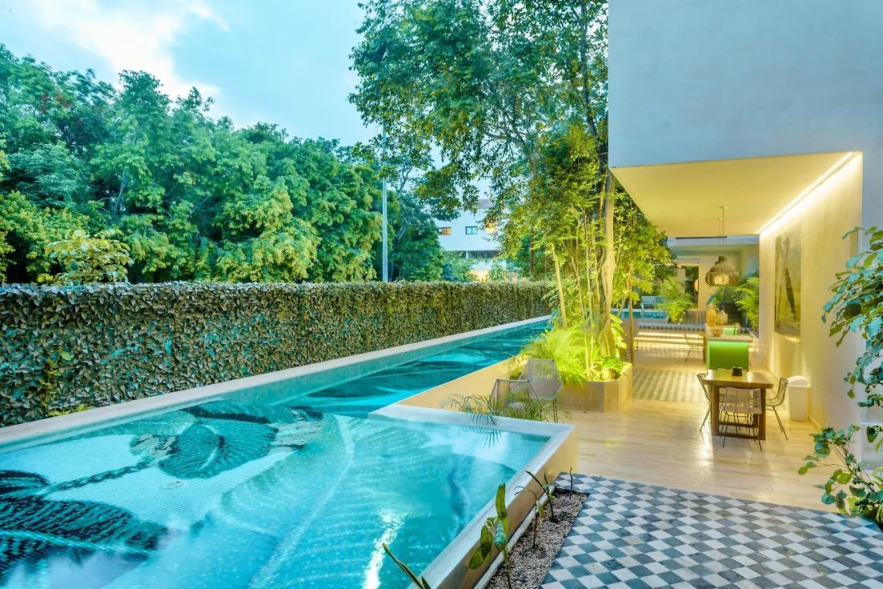 302 Modern & Luxury Apartment With Private Terrace Tulum Mexico