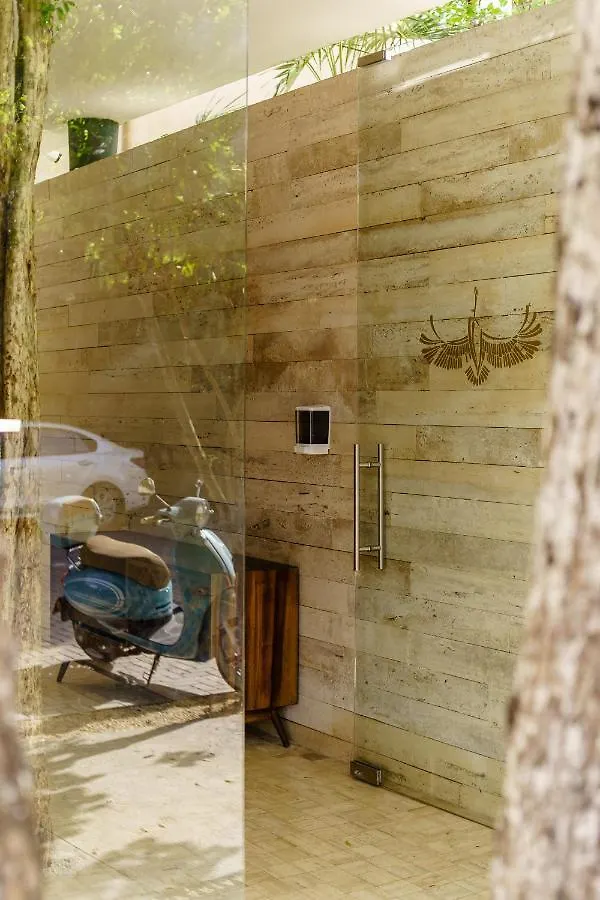 302 Modern & Luxury Apartment With Private Terrace Tulum